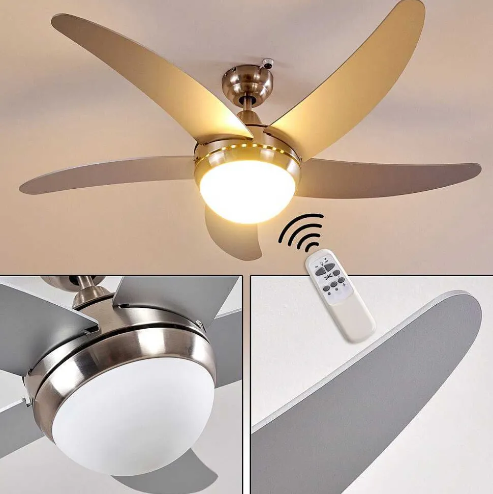 Ventilateurs De Plafond Morino Nickel Mat, Argente, 2 Lumieres, Telecommandes