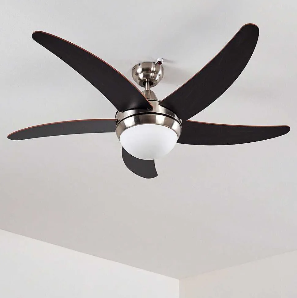 Ventilateurs De Plafond Morino Brun, Nickel Mat, 2 Lumieres, Telecommandes