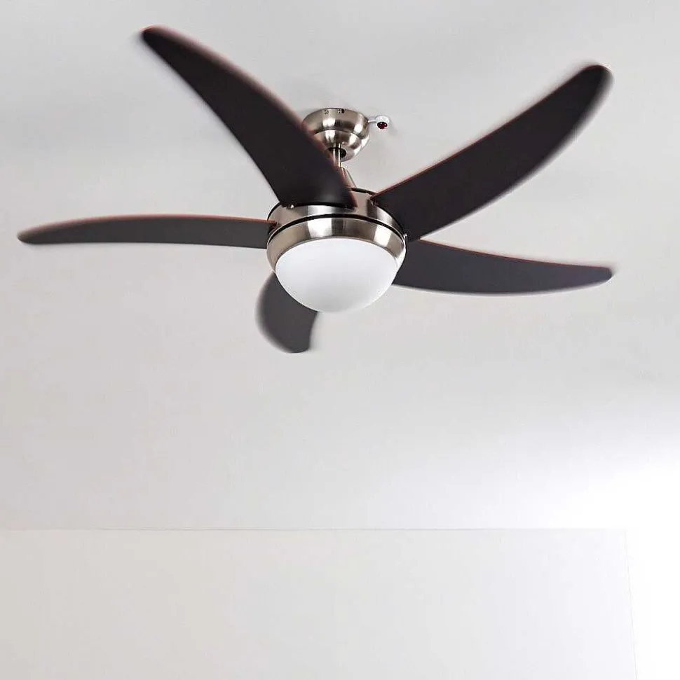 Ventilateurs De Plafond Morino Brun, Nickel Mat, 2 Lumieres, Telecommandes