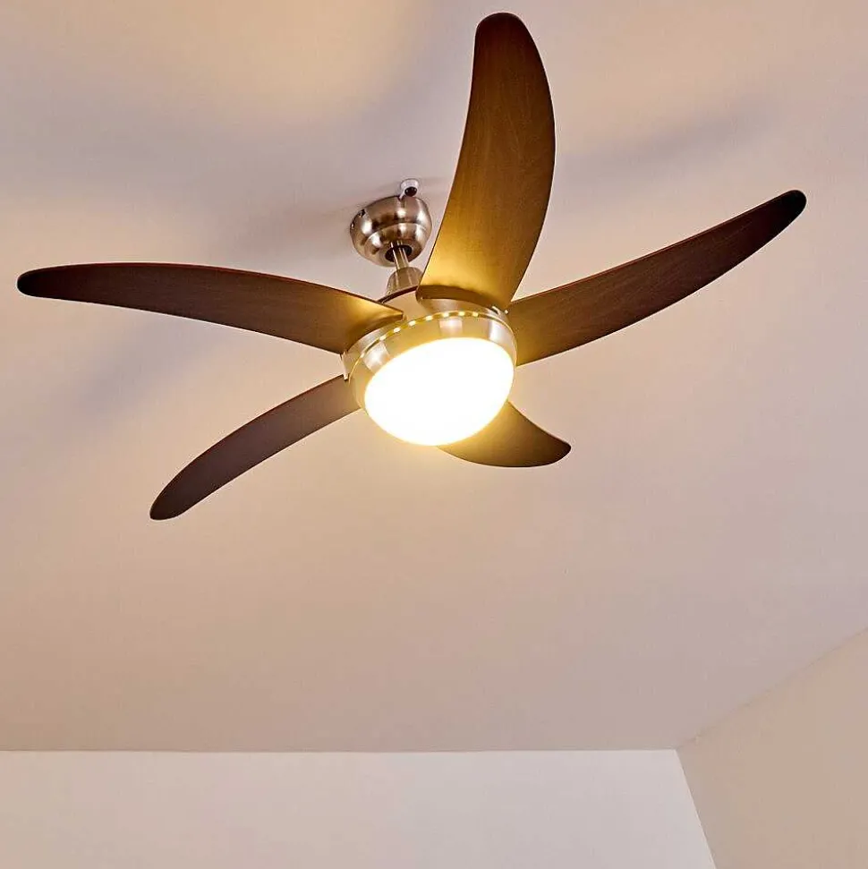 Ventilateurs De Plafond Morino Brun, Nickel Mat, 2 Lumieres, Telecommandes