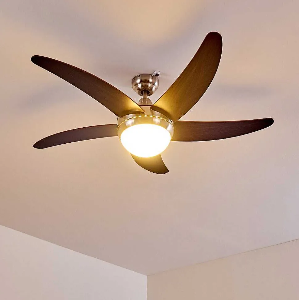 Ventilateurs De Plafond Morino Brun, Nickel Mat, 2 Lumieres, Telecommandes