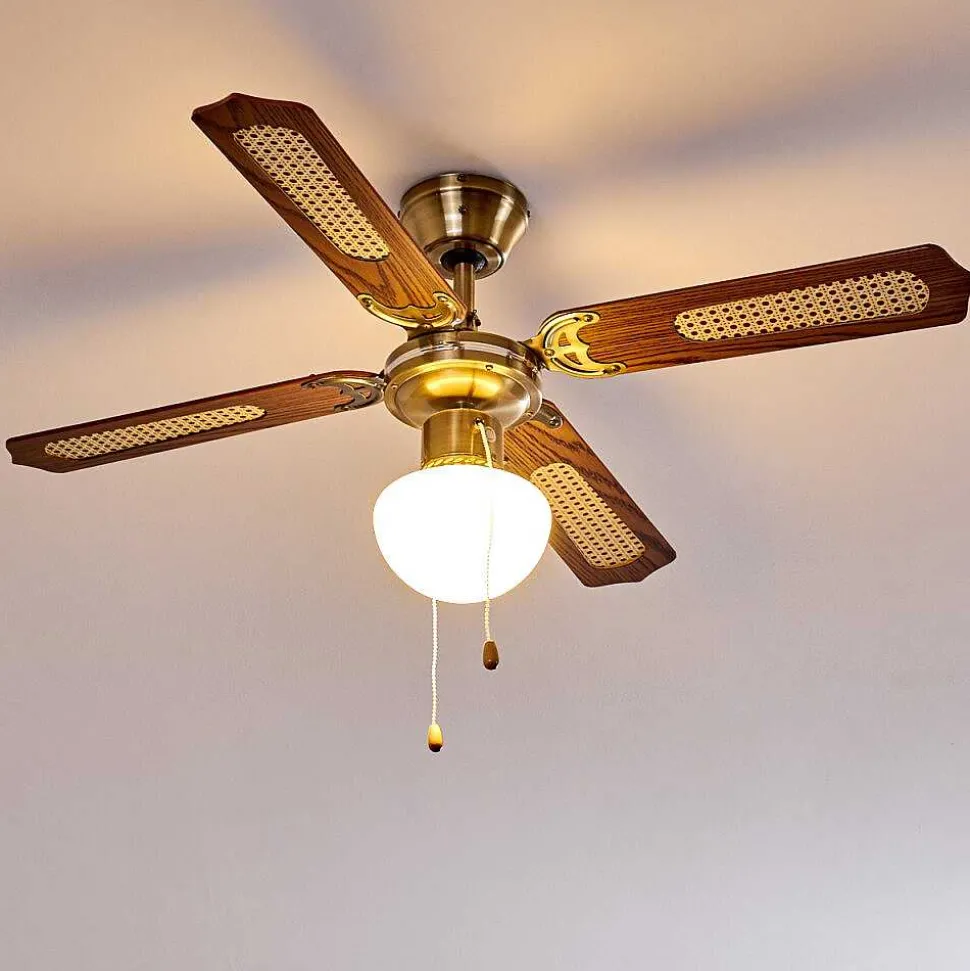 Ventilateurs De Plafond Morea Vieux Laiton, Bois Fonce, 1 Lumiere